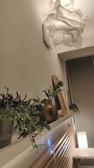 Appartement - Brando Екстер'єр фото